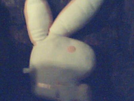 PlayBoy